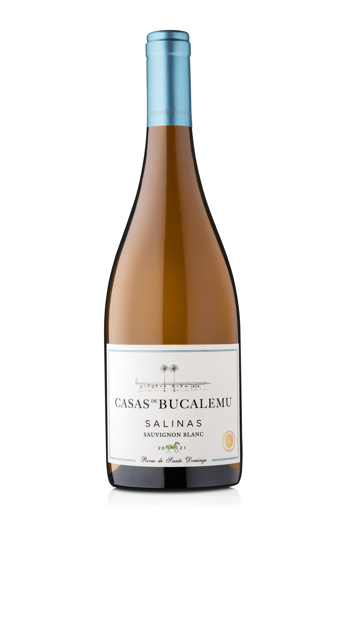 casas de bucalemu salinas